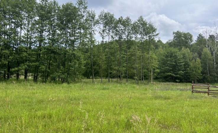 działka na sprzedaż - Wielowieś, Czarków